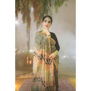 maheshwari silk saree